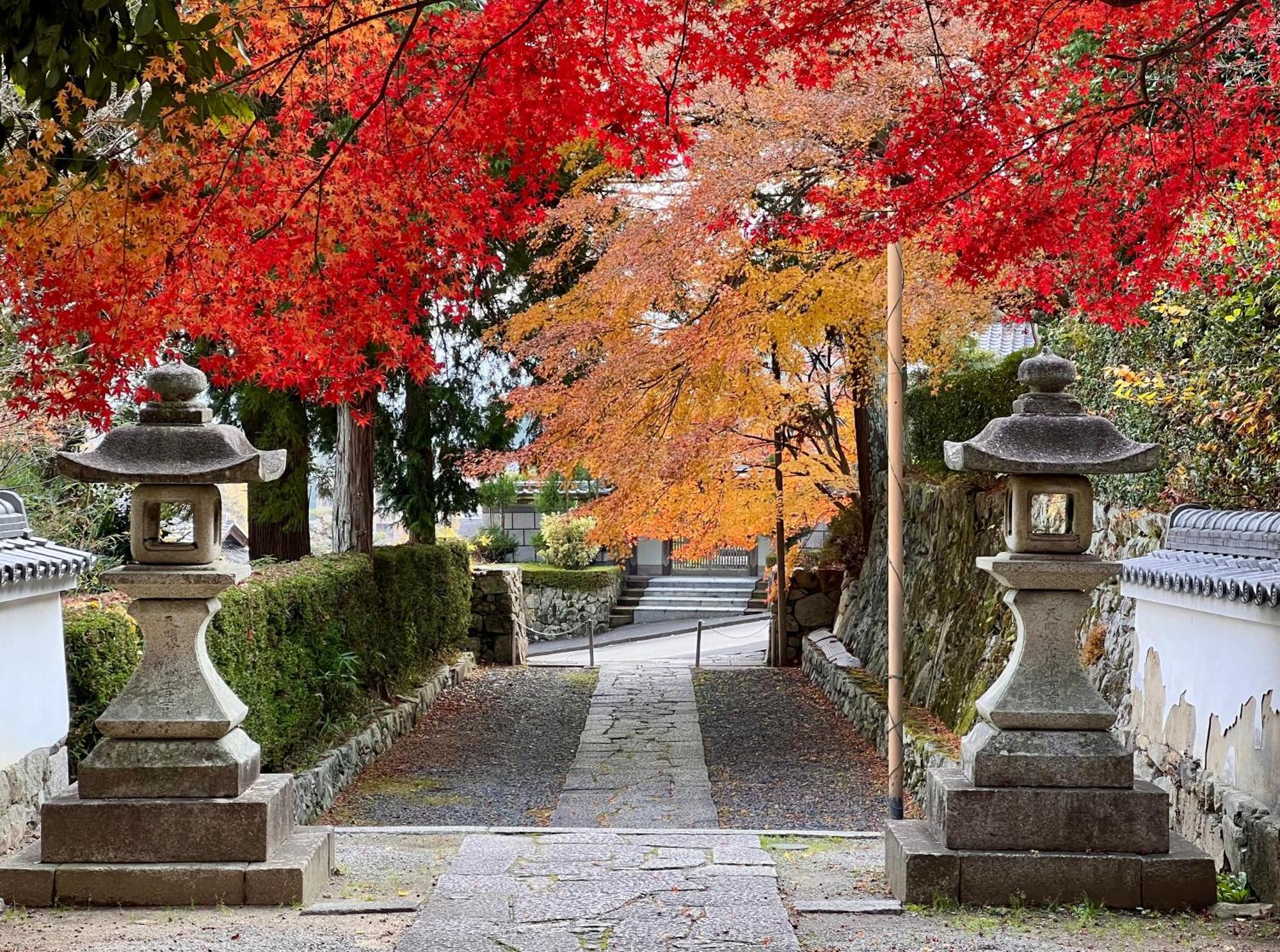 Jonni'S Place Sakamoto  외부 사진
